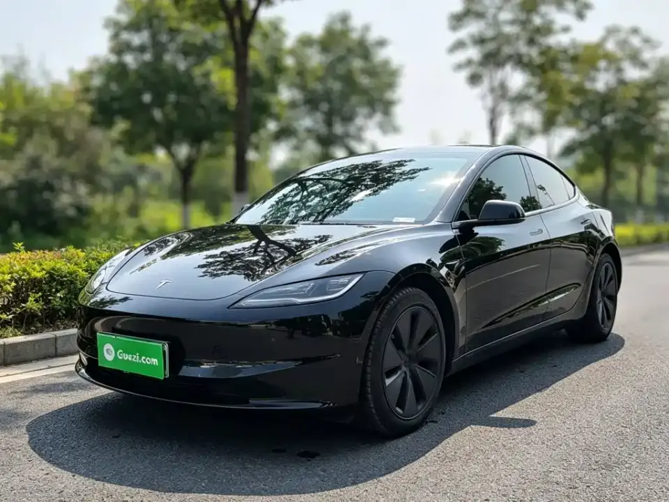 Tesla Model 3 Model Rear-Wheel Drive Edition 2025