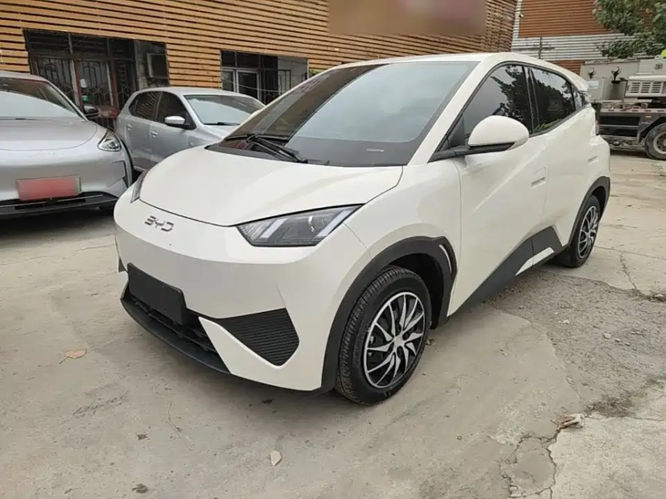 BYD Seagull Smart Drive Edition 305km Vitality Version 2025
