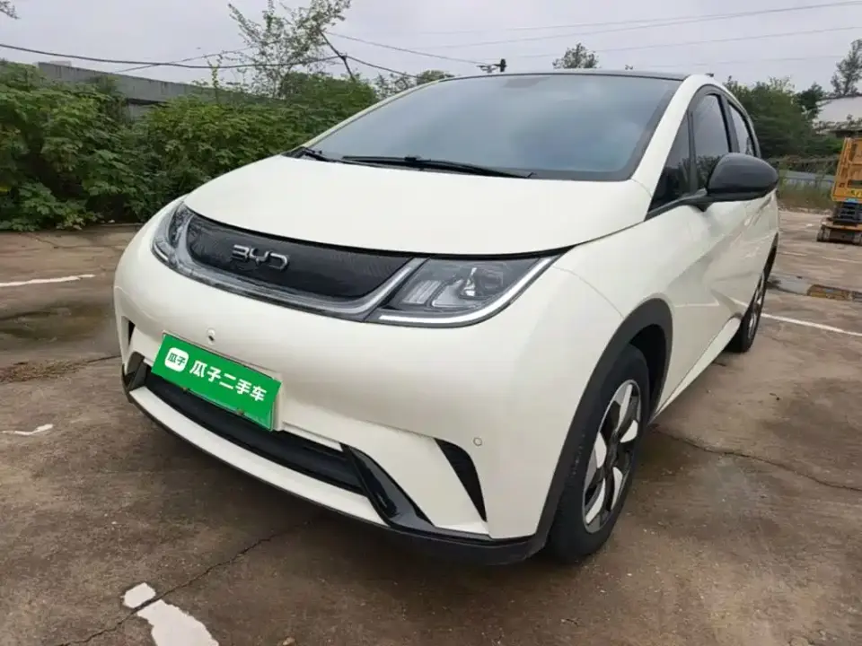 BYD Dolphin Glory Edition 420km Fashion Edition 2025
