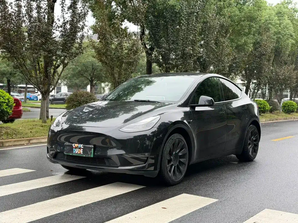 Tesla Model Y Model Long Range AWD 2021