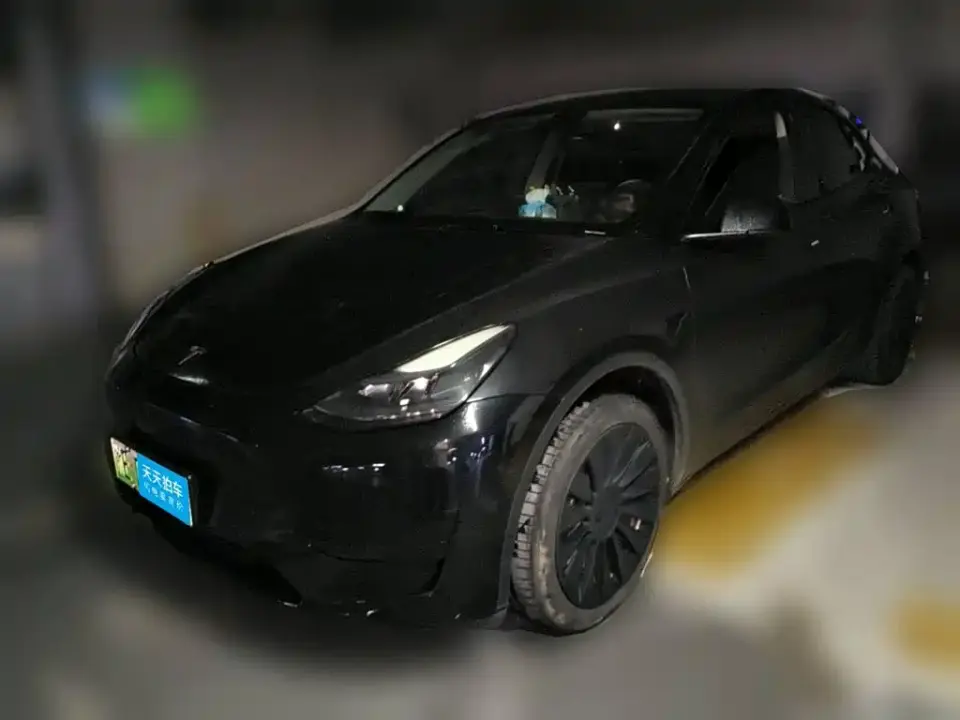 Tesla Model Y Rear-Wheel Drive Version 2022