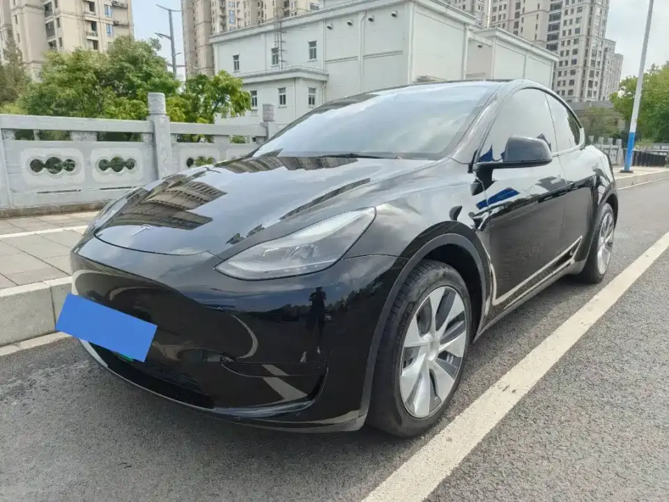 Tesla Model Y Rear-Wheel Drive Version 2022