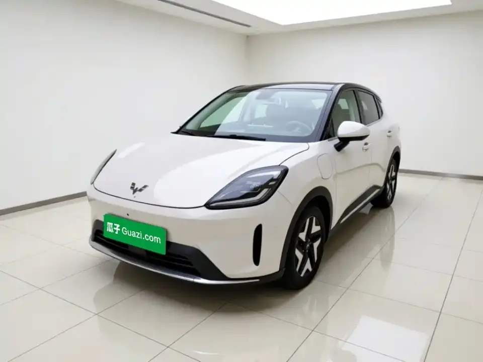 Wuling Motors Wuling Bingo S Model 325km Flagship Edition 2025