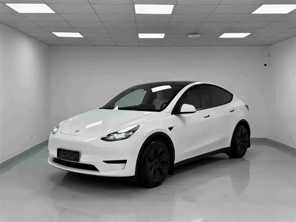 Tesla Model Y Rear-Wheel Drive Version 2024