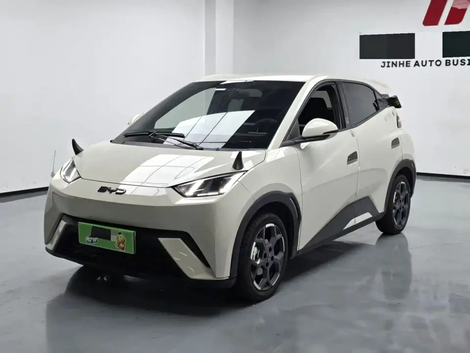 BYD Seagull 305km Freedom 2025