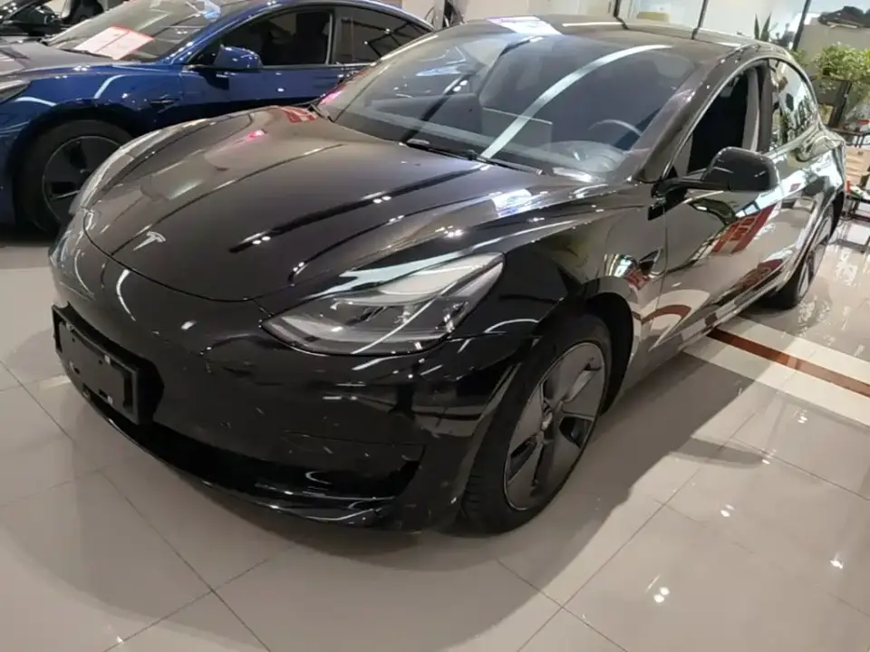 Tesla Model 3 Standard Range Rear-Wheel Drive Upgrade 3D6 2021