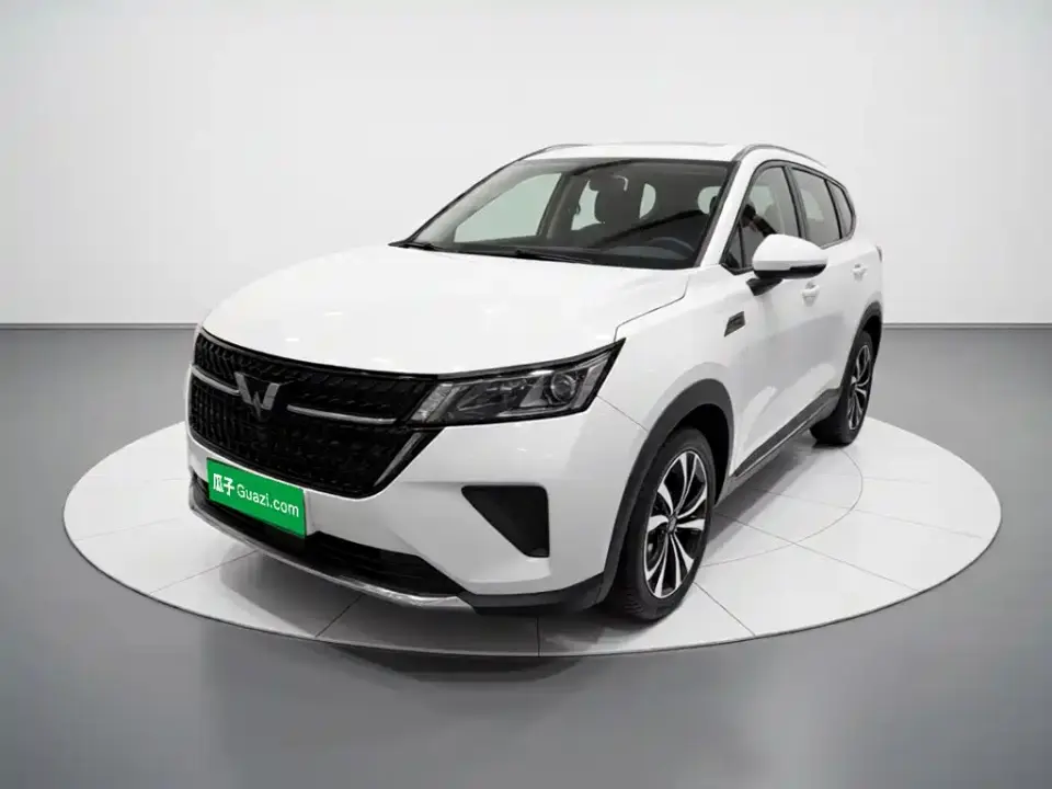 Wuling Motors Wuling Xingchen 2.0L DHT Electric Power Edition 2023