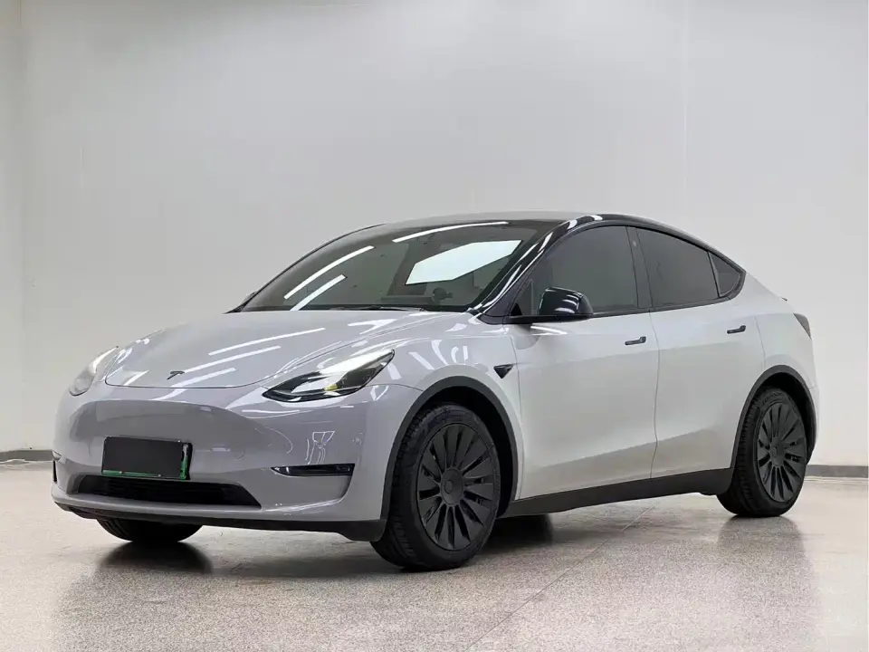 Tesla Model Y Standard Range Rear-Wheel Drive 2021