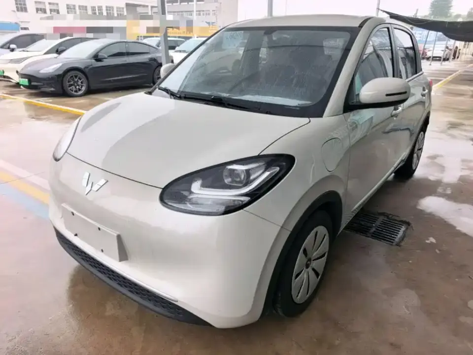 Wuling Motors Wuling Bingo 333km Quick Enjoy Version 2023