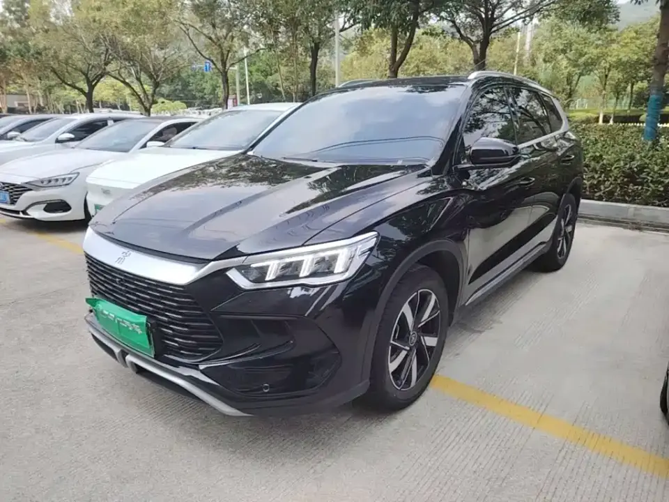 BYD Song Pro New Energy Glory Edition DM-i 71KM Pilot 2024