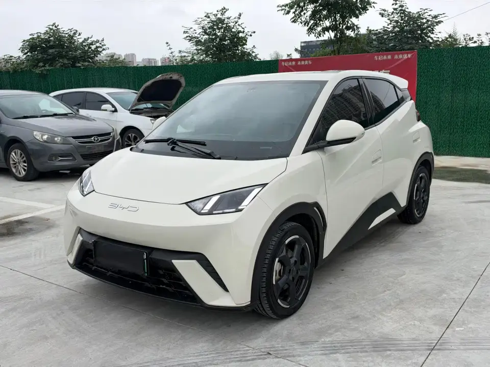BYD Seagull Glory Edition 305km Freedom Edition 2024