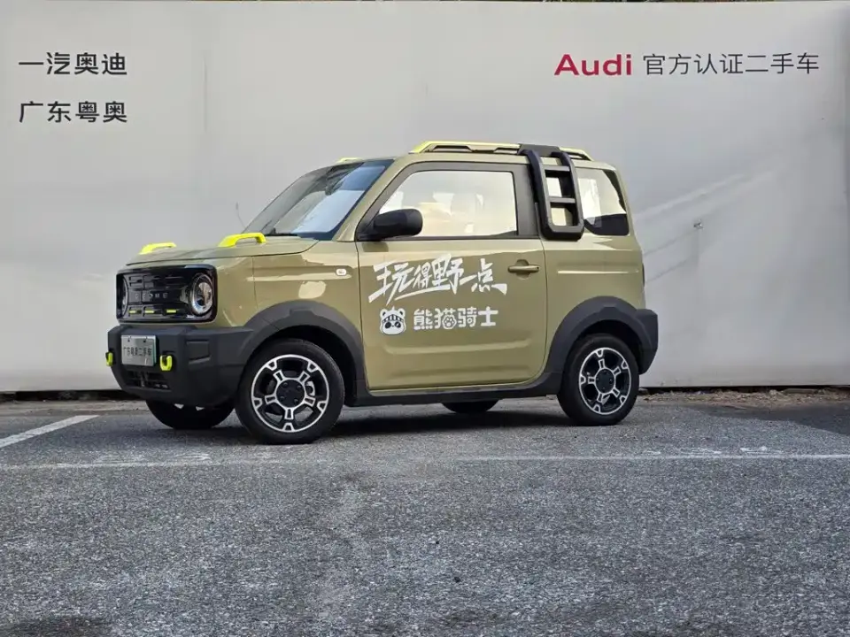 Geely Galaxy Panda Model Year 210km Panda Knight 2025