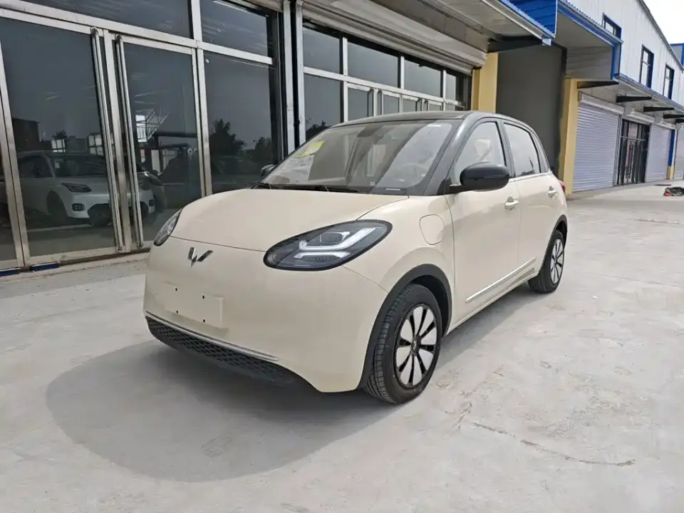 Wuling Motors Wuling Bingo Model 333km Joy Edition 2026