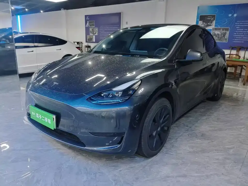 Tesla Model Y Rear-Wheel Drive Version 2024