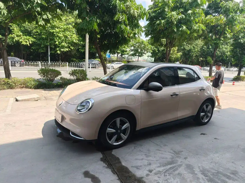 ORA Good Cat 401km Standard Range Luxury NCM 2023
