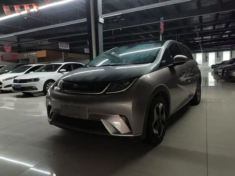 BYD Dolphin Model 405km Fashion Edition 2022