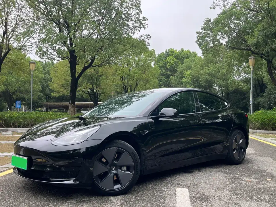 Tesla Model 3 Model Rear-Wheel Drive Version 2022
