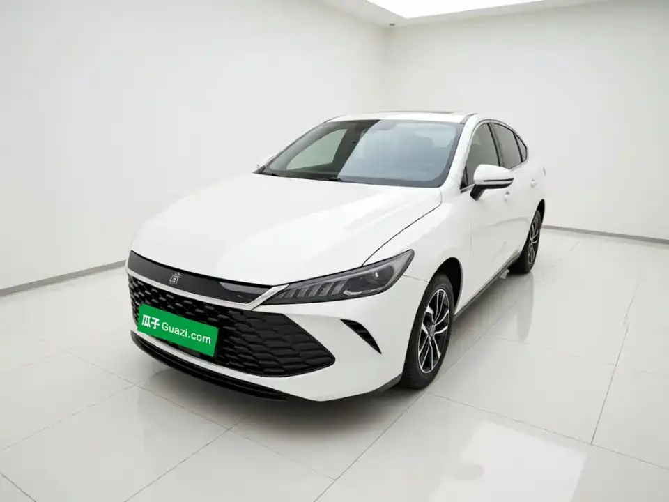 BYD Qin PLUS DM-i Smart Drive 55KM Leader 2025