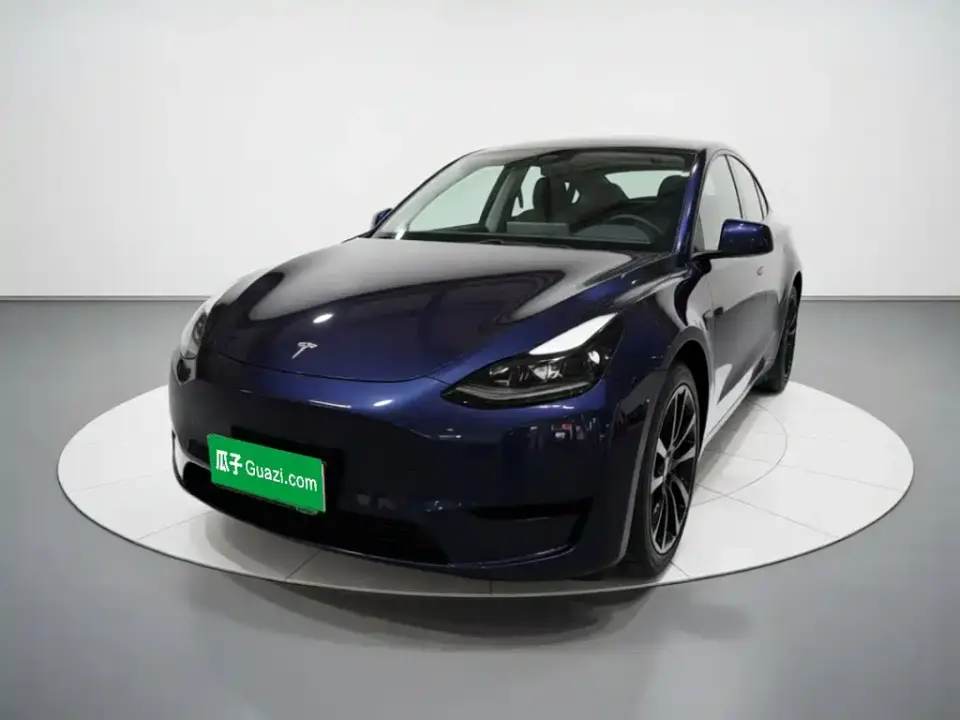 Tesla Model Y Rear-Wheel Drive Version 2024