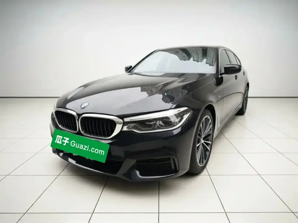 BMW 5 Series 530Li Leading M Sport Package 2020
