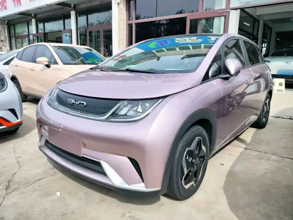 BYD Dolphin Model 405km Fashion Edition 2022