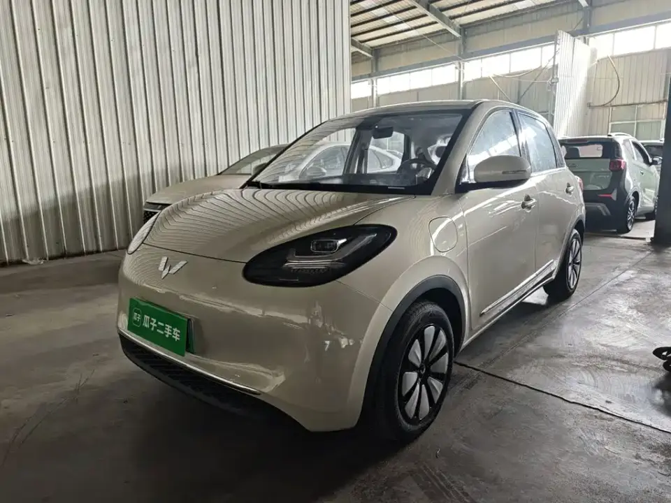 Wuling Motors Wuling Bingo Model 333km Joy Edition 2026