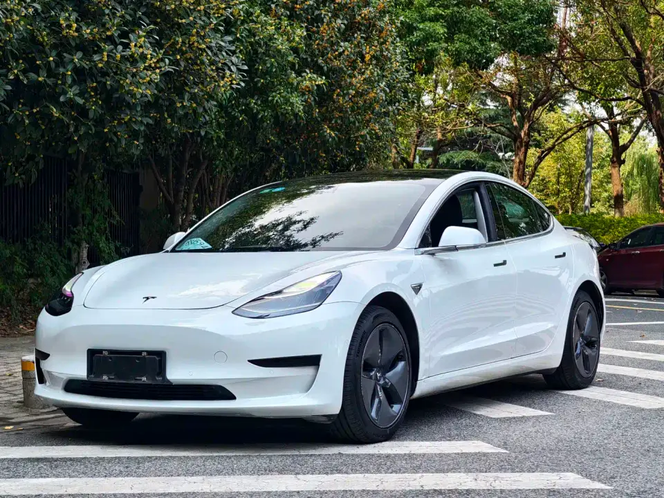 Tesla Model 3 (Import) Standard Range RWD Upgraded Edition 2019
