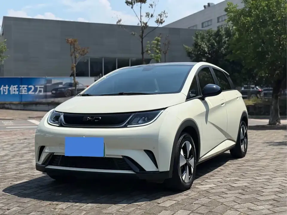 BYD Dolphin 420km Fashion Edition 2024