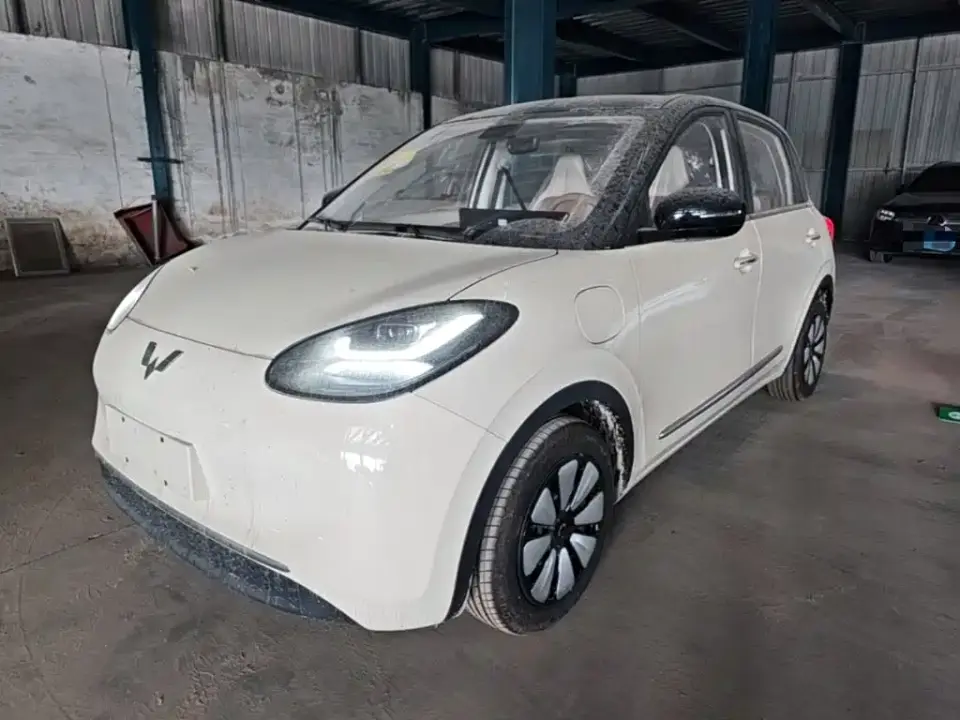 Wuling Motors Wuling Bingo Model 333km Joy Edition 2026