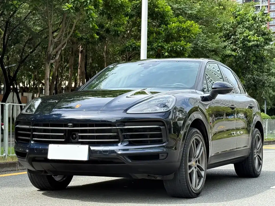 Porsche Cayenne Cayenne 3.0T Platinum Edition 2022