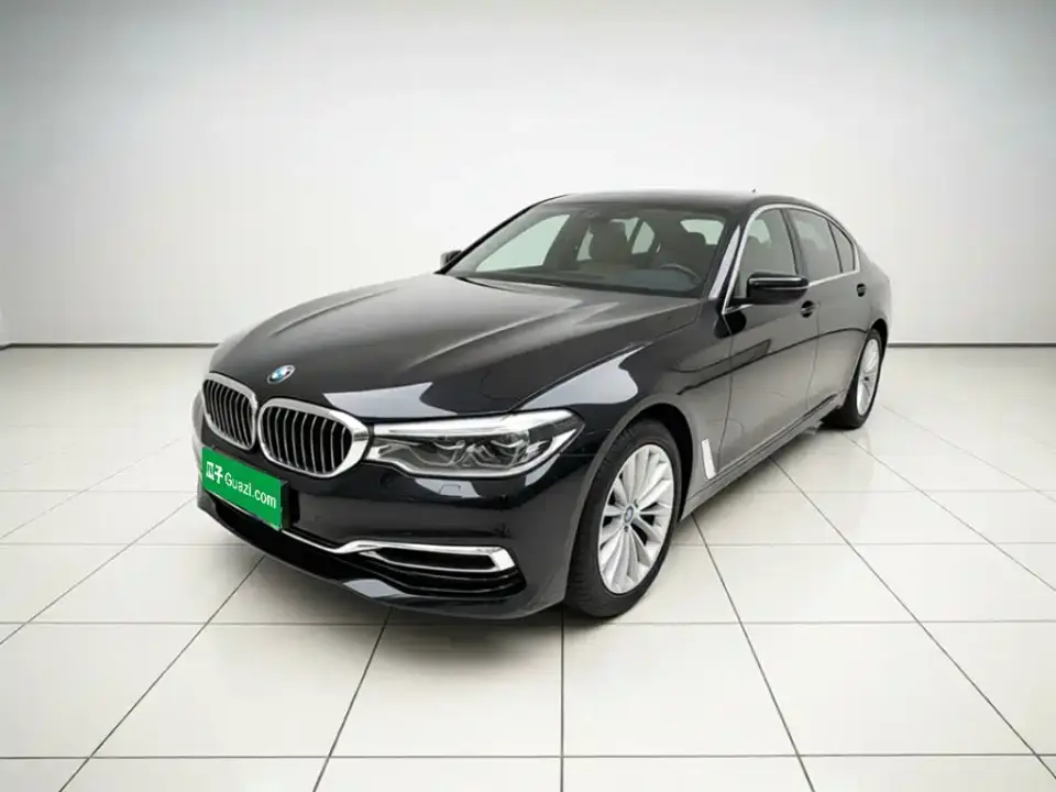 BMW 5 Series 530Li Leading Luxury Package 2020