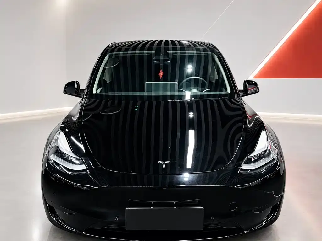 Tesla Model Y Rear-Wheel Drive Edition 2024 — фото 2