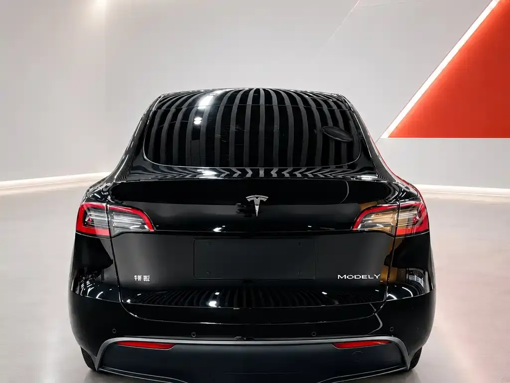 Tesla Model Y Rear-Wheel Drive Edition 2024 — фото 5