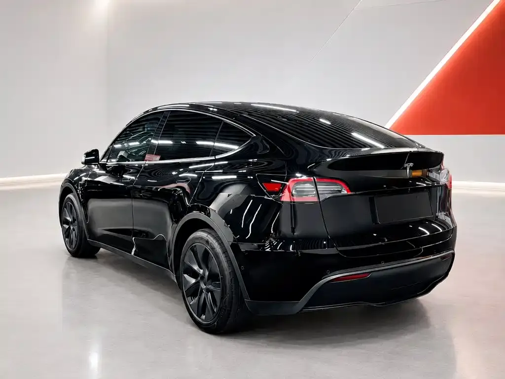 Tesla Model Y Rear-Wheel Drive Edition 2024 — фото 4