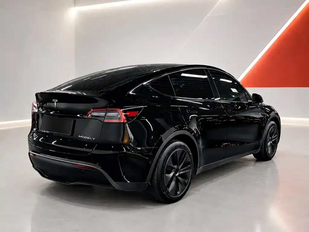 Tesla Model Y Rear-Wheel Drive Edition 2024 — фото 6