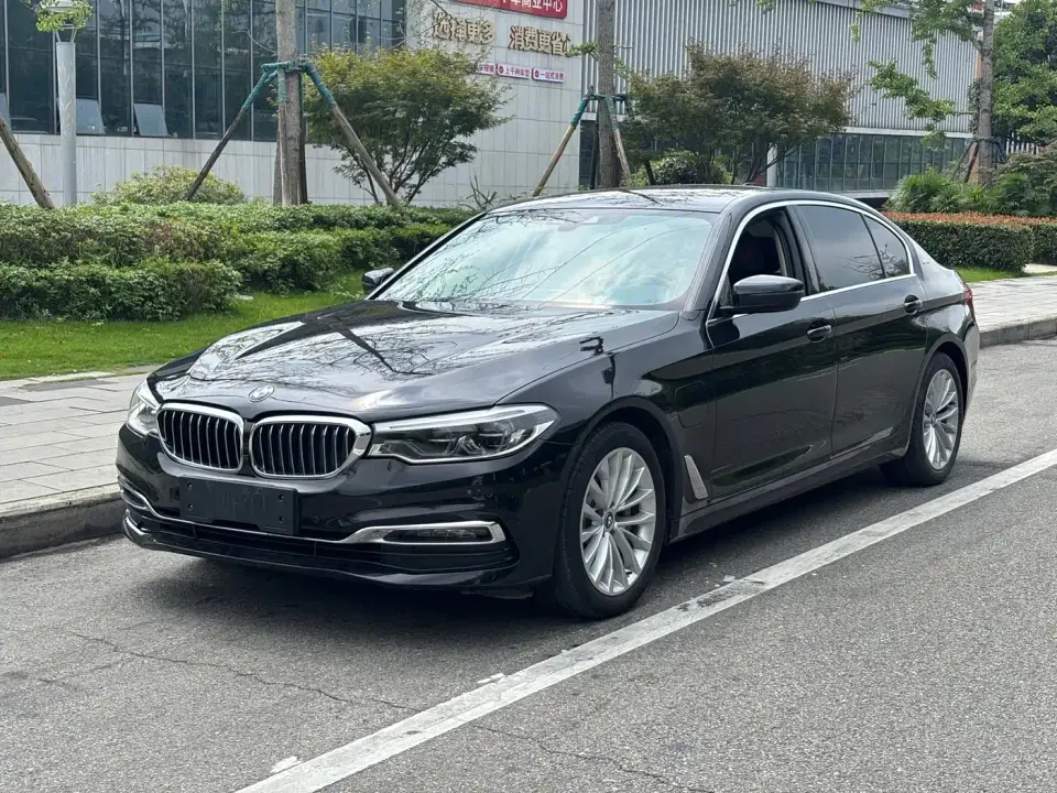 BMW 5 Series New Energy 530Le Luxury Package 2019