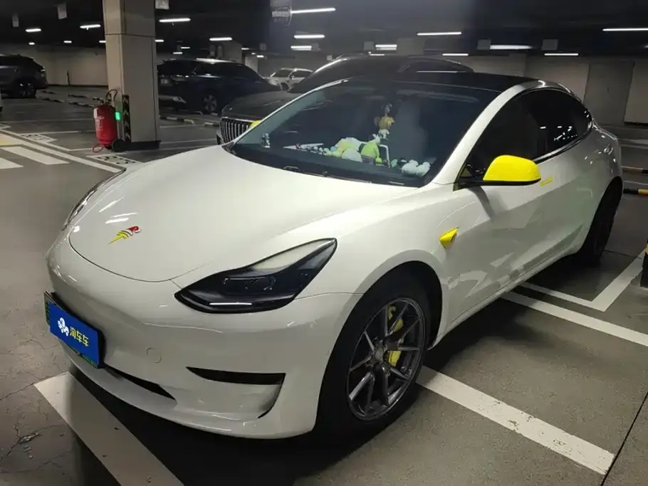 Tesla Model 3 Model Rear-Wheel Drive Version 2023