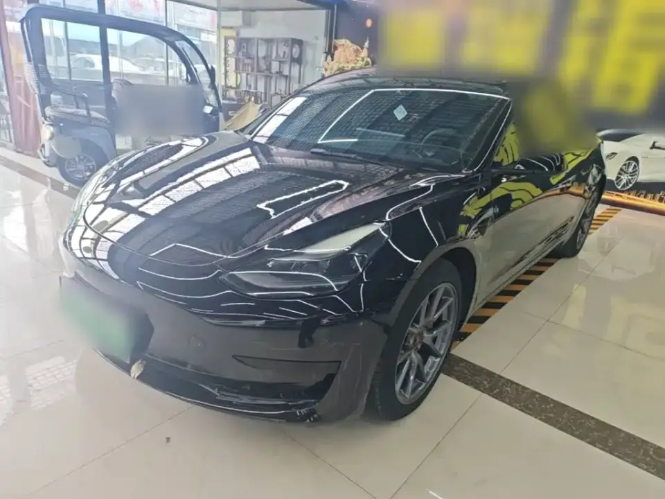 Tesla Model 3 Model Rear-Wheel Drive Version 2022