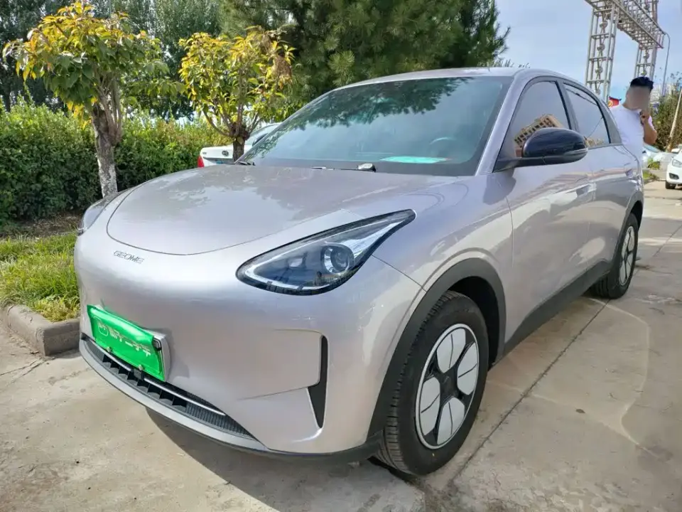Geely Galaxy Starry Wish Edition 310km Youth Version 2025