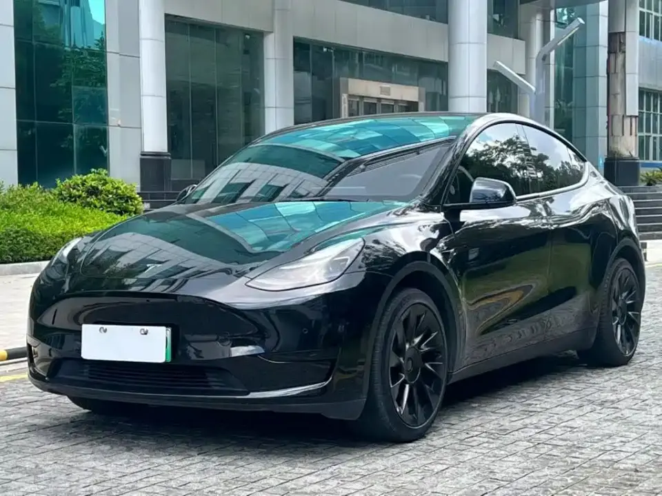 Tesla Model Y Rear-Wheel Drive Version 2022