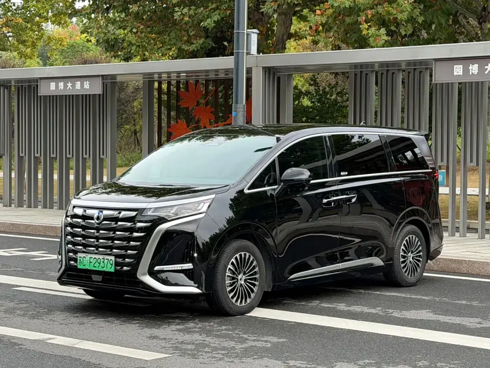 Denza D9 DM-i 1050 Premium 2024