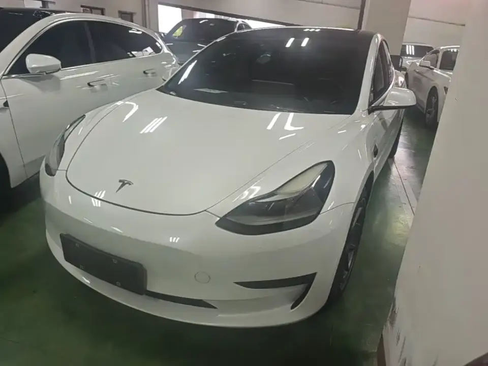Tesla Model 3 Standard Range Rear-Wheel Drive Upgrade 3D6 2021