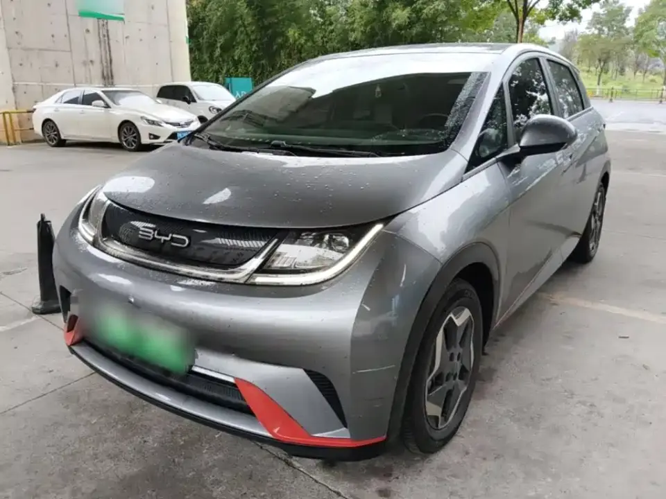 BYD Dolphin Model 405km Fashion Edition 2022