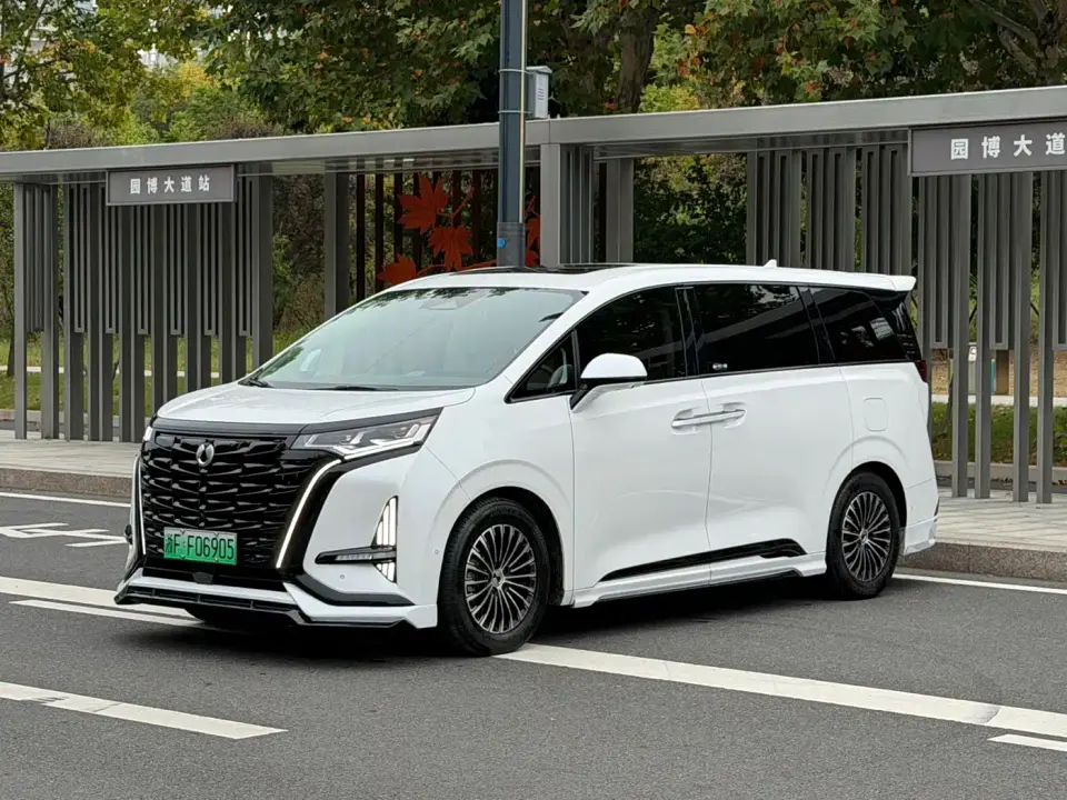 Denza D9 DM-i 980 AWD Flagship 2024