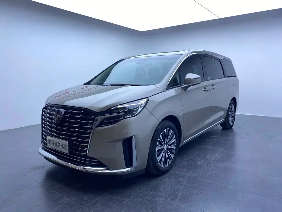 Buick GL8 ES Landmaster Luxury 2024