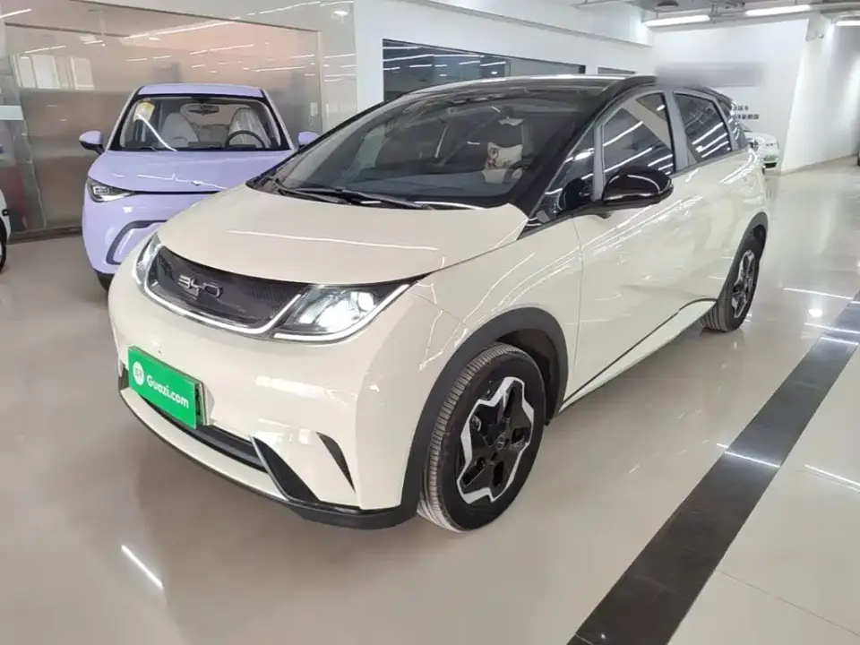 BYD Dolphin Model 405km Fashion Edition 2022