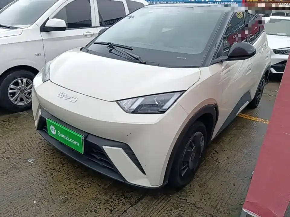 BYD Seagull Glory Edition 305km Vitality Edition 2024