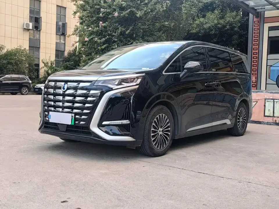 Denza D9 DM-i 1040 Premium 2023
