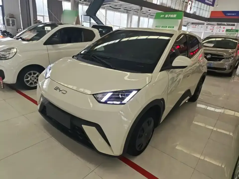 BYD Seagull Glory Edition 305km Vitality Edition 2024