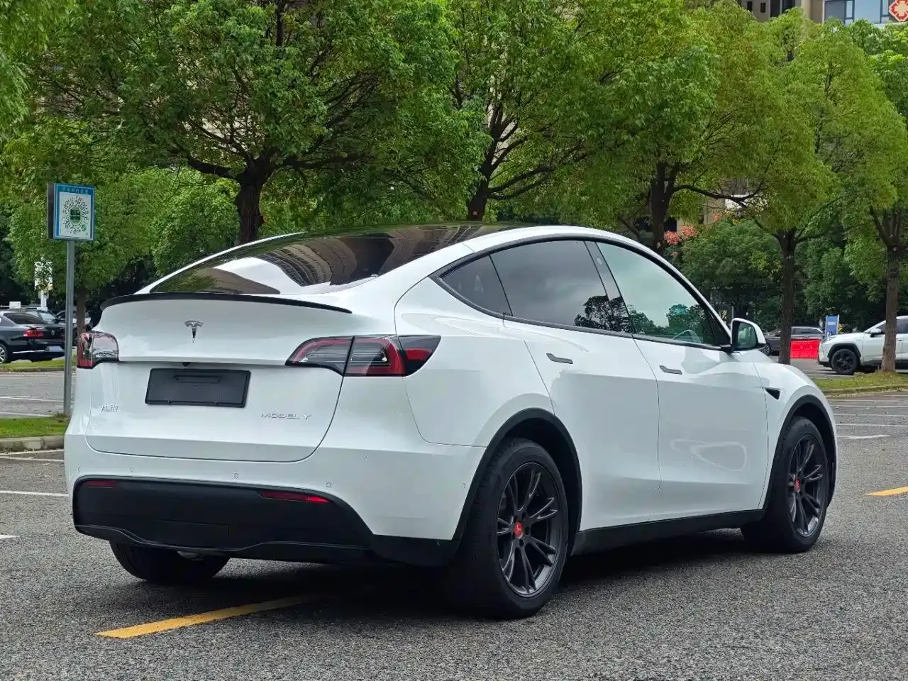Tesla Model Y Long Range All-Wheel Drive Edition 2024 — фото 17